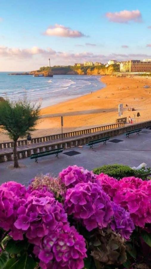 Residence La Croisiere- Appt Duplex 6 Personnes Anglet Exteriér fotografie